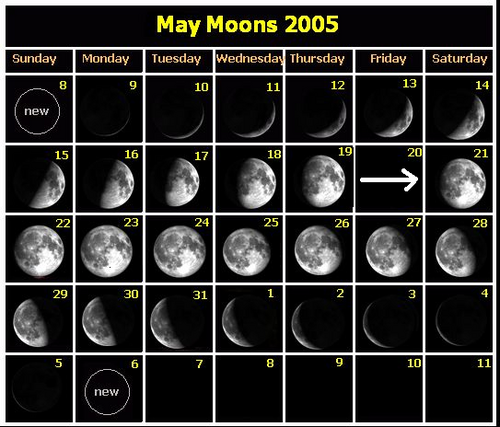 A calendar showing the Moon changing shape each day as it goes through its phases